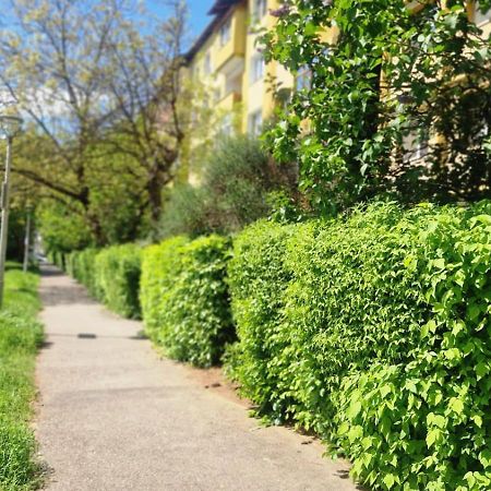 University Apartment بايا ماري المظهر الخارجي الصورة