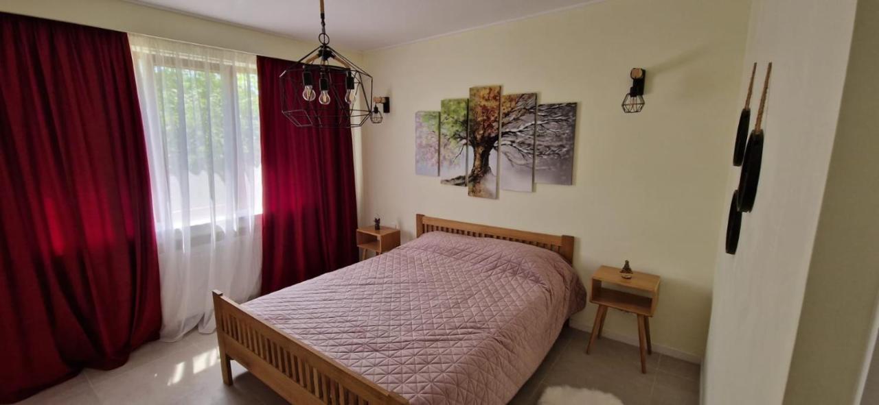 University Apartment بايا ماري المظهر الخارجي الصورة